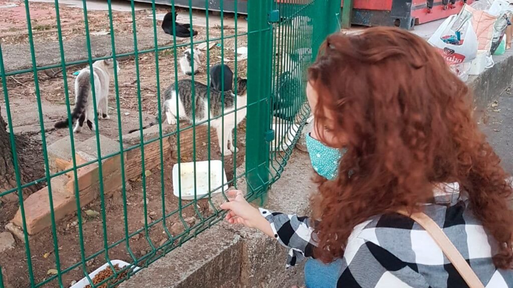 Érica da Silva Silveira Advogada na defesa do direito dos animais ajudando gatos de rua