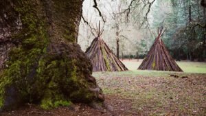 native-american-traditional-me-wuk-ceremony-lodging-during-daytime