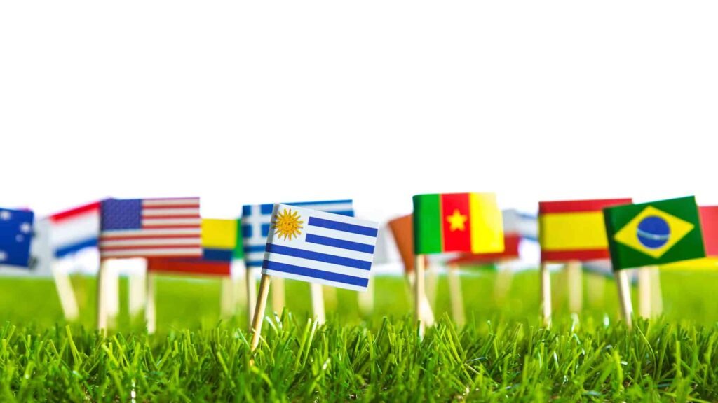 flags-different-countries-punctured-lawn