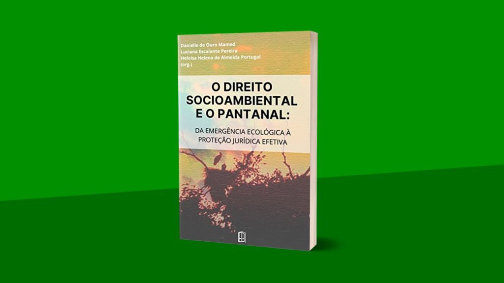 O direito socioambiental e o pantanal: da emergência ecológica à proteção jurídica efetiva