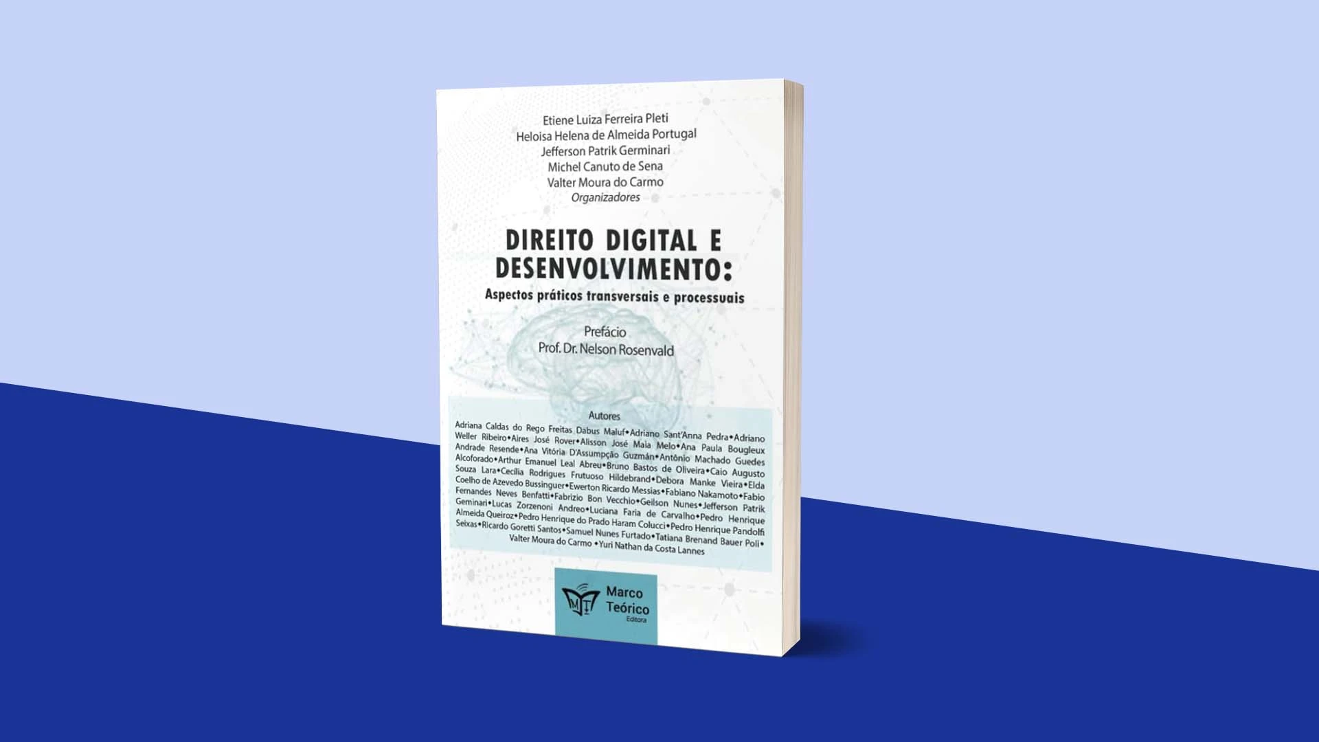 Direito-Digital-e-Desenvolvimento-Aspectos-práticos-transversais-e-processuais