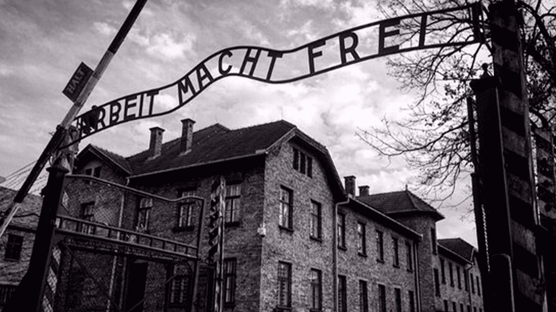 auschwitz-i-arbeit-macht.jpg-_1_