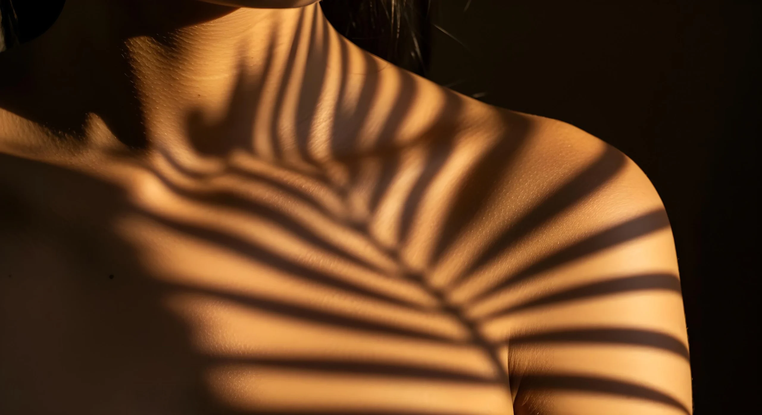 corpo